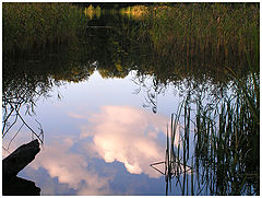 photo "Lake"