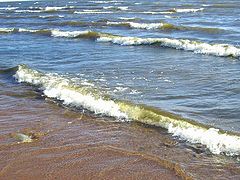 photo "Wave"