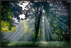 photo "Arrival"