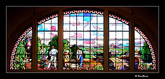 photo "Stained Glass #2"