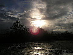 фото "Evening sky"