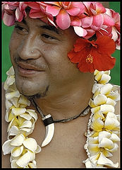 фото "Luau Guy"