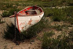 photo "Forgotten"