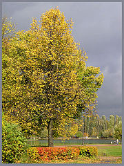 photo "Autumn mood"