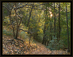 photo "Going down footpath"