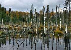 photo "Untitled photo"