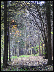photo "Autumn"