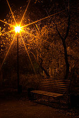 photo "night"
