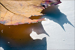 photo "***"