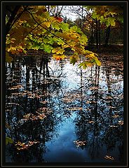 photo "Alittle Sun in Cold Water"