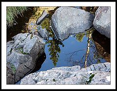 photo "Mirror of the nature"
