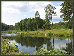 photo "The river"