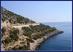 photo "Serpentine"