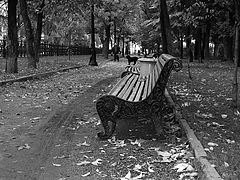 photo "by the way"