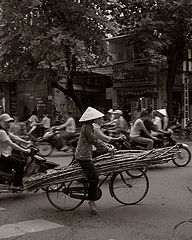 фото "Carrying bamboo"