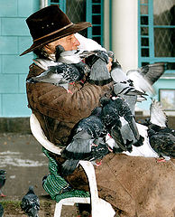 фото "the BirdsMan"