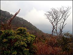 photo "fall in the mountains"