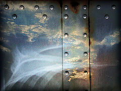 photo "see thru life"
