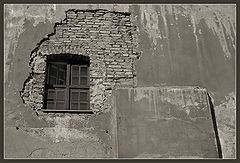 фото "Fresh windblow ..."