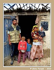 фото "Familie de tigani 5"