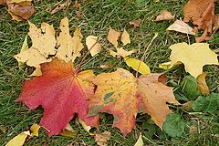 photo "Untitled photo"