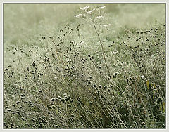 photo "Freezes and leans on"