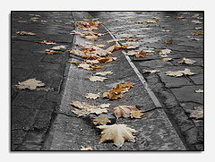photo "Autumn tints 2"