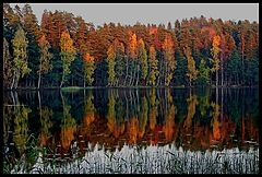 фото "Autumn colours 3"