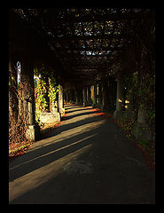 photo "The Passage"