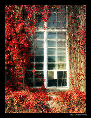 photo "Magic Window"