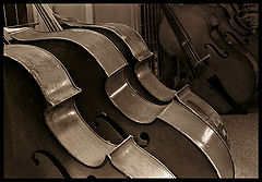 фото "Old and tired"