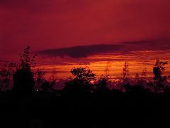 photo "the sky"