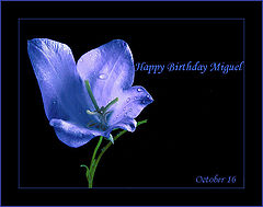 photo "Happy Birthday Miguel"