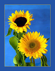 photo "Last proof of summer"