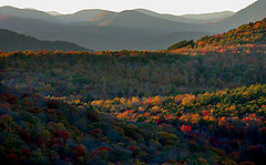 photo "Adirondack Fall Light"