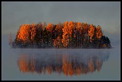 фото "Misty morning"