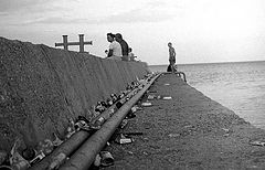 photo "Health-resort visitors"