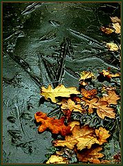 photo "First ice"
