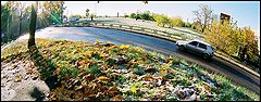 фото "ПЕРВЫЙ  СНЕГ 2."
