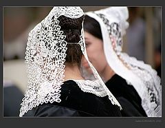 photo "The lace"