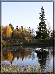 фото "Без названия"