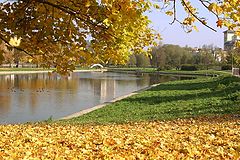 фото "Цвета осени"