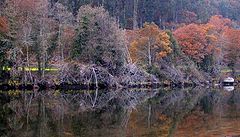 photo "Autumn"
