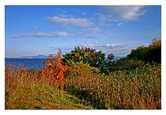 photo "Fall at Trondheim Fjord"