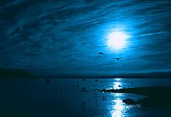 фото "Blue"