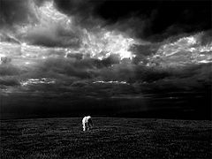 фото "Alone"