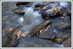 фото "Rocks"