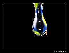 photo "Reflex"
