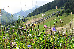 photo "There is another mountain photo I like most of all"