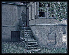 photo "at home at last"
